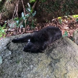 Meet your Posher, Gina